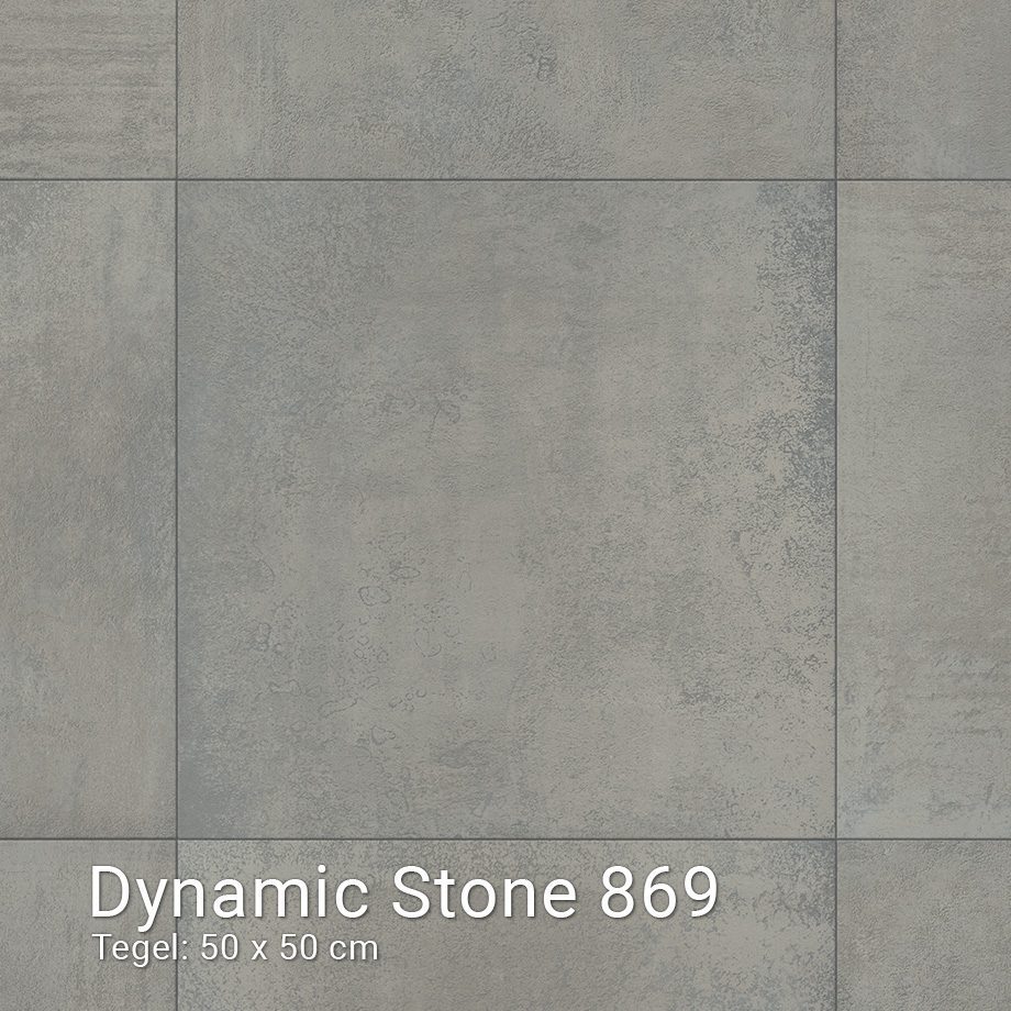Interfloor Dynamic Stone 869