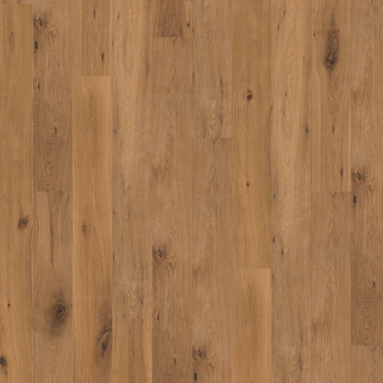 Solidfloor Originals Glaciers 2G Click Smoked Natural gelakt 2012988